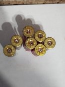 Відстріляні мисливські набої