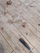 IMG_20250404_073948.jpg