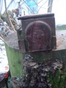 DSC00734.JPG