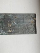 IMG_7838.jpeg
