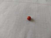 IMG_20250411_154747_159.jpg