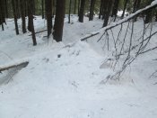 IMG_0852.JPG