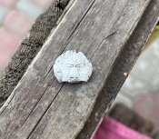 IMG_0349.jpeg
