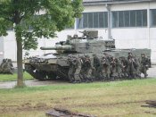 Штани ЗС Австрії - 96u 100 3/4 ріст- заміри в описанні
