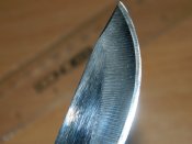 DSCN0372.JPG