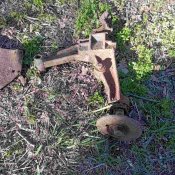 IMG_7978.jpeg
