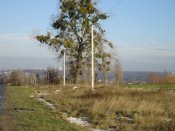 DSC01979.JPG