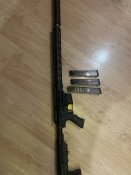 IMG_4480.jpeg