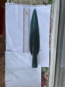 IMG_3633.jpeg