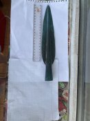 IMG_3634.jpeg