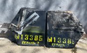 Хвост Герань - 2