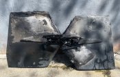 Хвост Герань - 2
