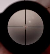 IMG_1980.jpeg