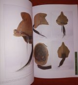 Каски l мировой + Каски ll мировой (Три тома).