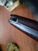 IMG_20250426_173504.jpg