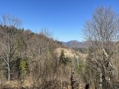 IMG_9450.JPEG