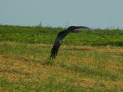 DSCN0687.JPG