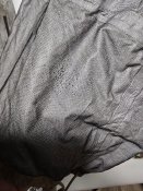 20250501_195216.jpg