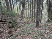 IMG_9730.JPEG