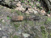 IMG_9725.JPEG