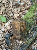 IMG_9770.JPEG