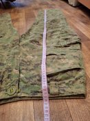 Штани SFU invader gear