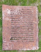 IMG_20250505_193644.jpg