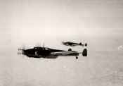 Bf-110G-4M3, 9.NJG3 D5+DT, Luneburg Germany 1943.jpg