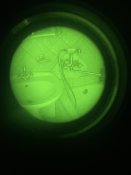 IMG_2842.jpeg