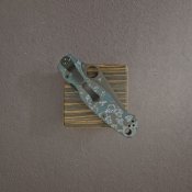 IMG_2720.jpg