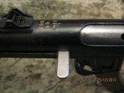 IMG_0517.jpg