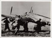 Fw187 Falke14.jpg