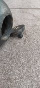 Гранати по ПСВ.