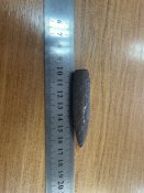 IMG_4290.jpeg