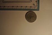 _DSC0322.JPG