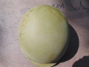 Советская каска стальная рост-1.