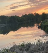 IMG_0554.jpeg