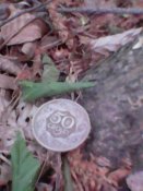 IMG0265A.jpg