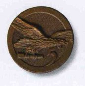 img317aa.jpg