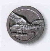 img317aaaa.jpg
