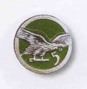 img318a.jpg