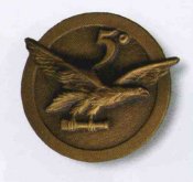 img318aaa.jpg