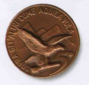 img318aaaa.jpg