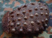 DSC02016.JPG