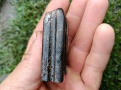 подаватіль з магазину МП 38/40