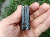 подаватіль з магазину МП 38/40
