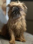 IMG-f47d40f37f7a650b7d98295565f479f6-V.jpg