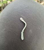 IMG_0615.jpeg