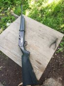 Воздушка пуле дробова