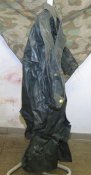 IMG_3788t.jpg